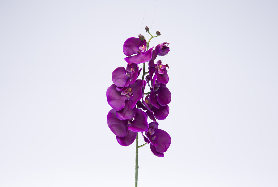 29in Phalaenopsis Orchid Stem - Purple