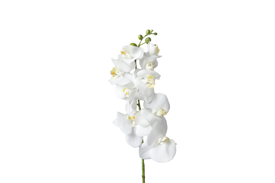 29in Phalaenopsis Orchid Stem - White