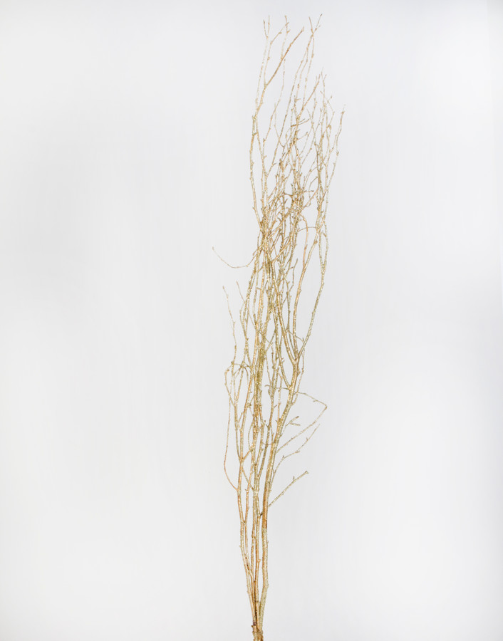 3-4.5ft Painted Glitter Birch Branches - Gold