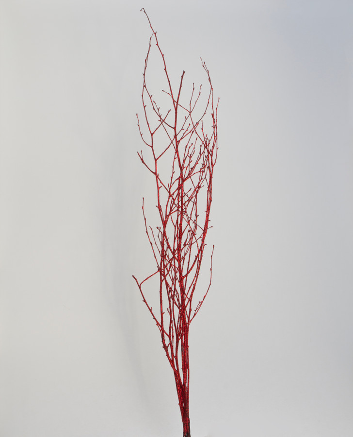 3-4.5ft Painted Glitter Birch Branches - Red