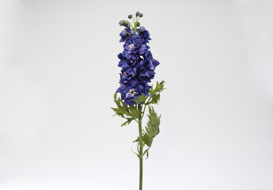 28in Short Stem Delphinium - Blue