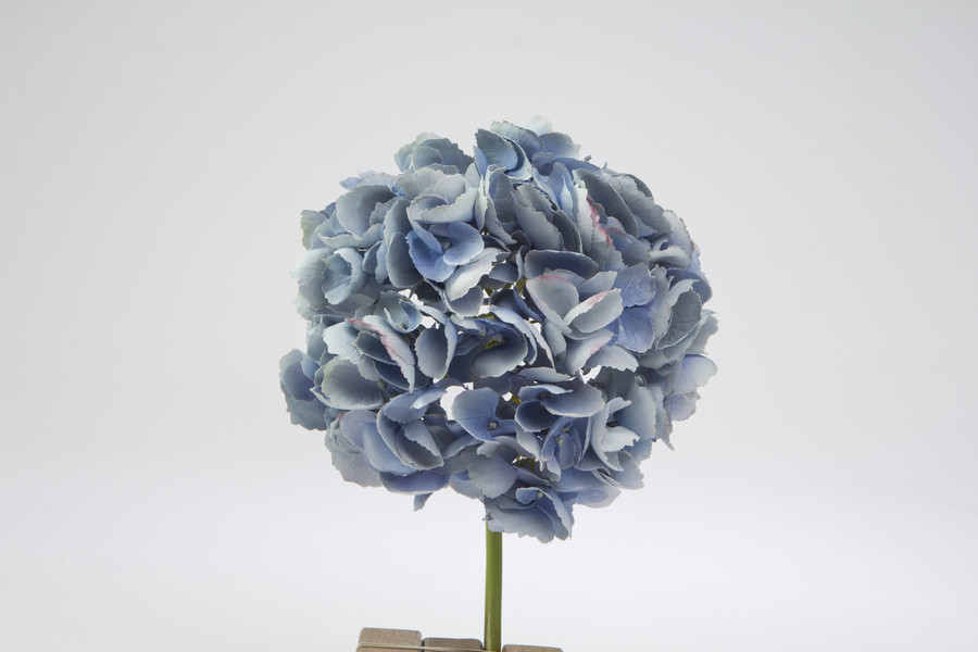 19in Hydrangea Stem - Blue