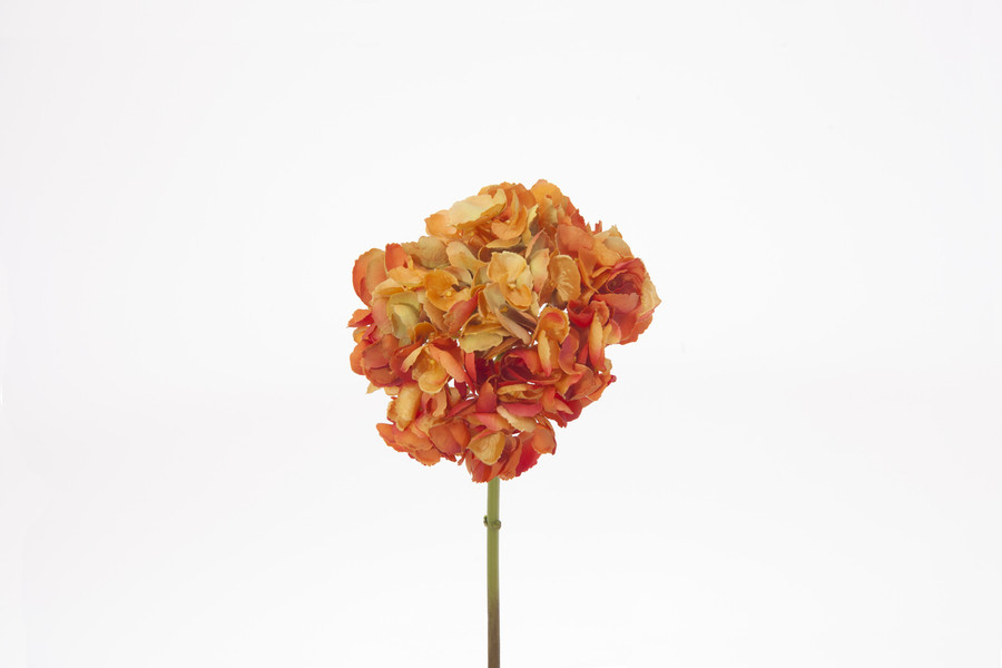 19in Hydrangea Stem - Orange Gold
