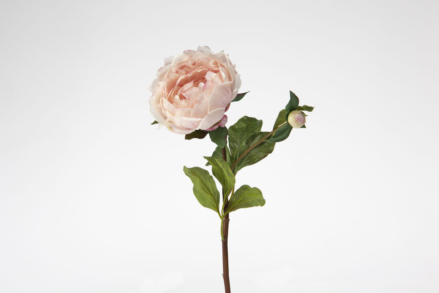 19.5in Open Peony Stem - Pink