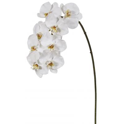 37.5in Phalaenopsis Orchid x8 - White