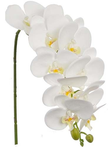 31in Phalaenopsis Stem Orchid - White