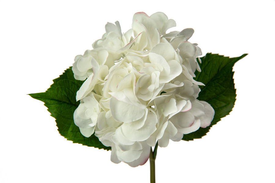 22in Fresh Touch Hydrangea Stem - White