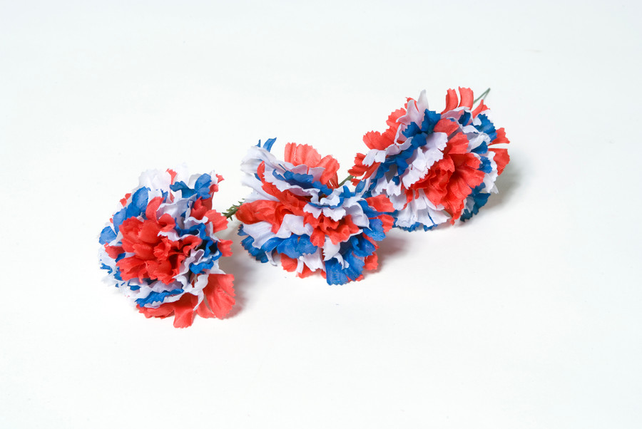 Carnation on 5in Pick (Box of 100) - Tri Color