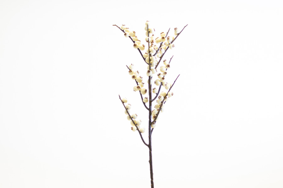 21in White Berry Spray x97