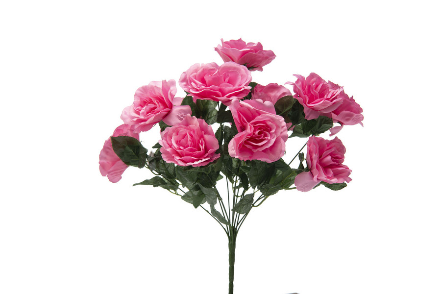 American Heritage Rose Bush x12 - Pink