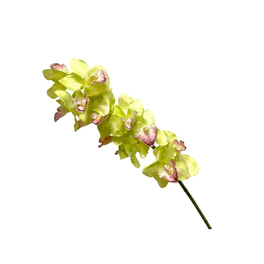 33.5in Large Cymbidium Orchid Spray x12 - Green