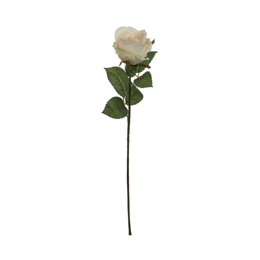 20in Opening Rose - Champagne