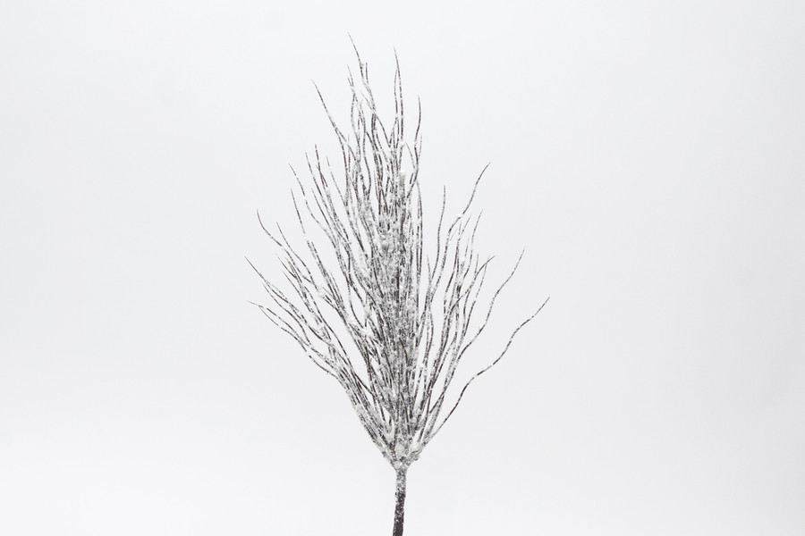 26in Glitter Coral Spray - Snow White