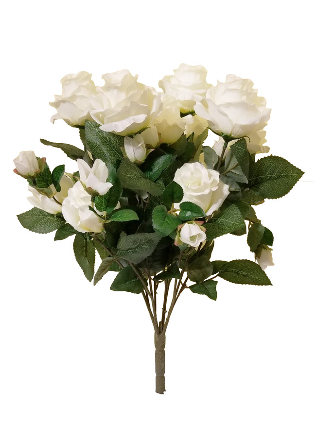 Eternity Rose Bush x12 - Cream
