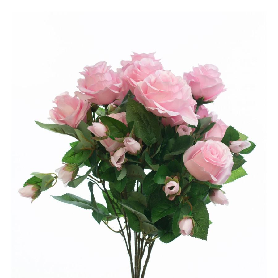 Eternity Rose Bush x12 - Pink