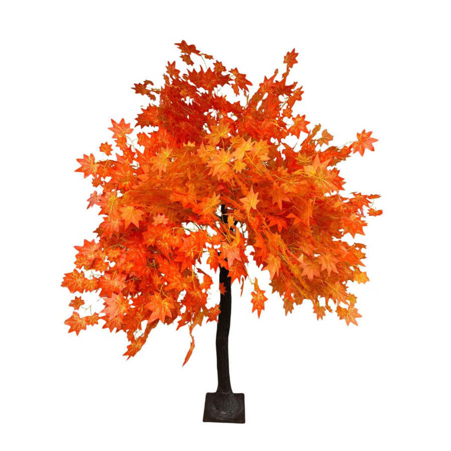 6.5ft Tall Maple Tree - Orange