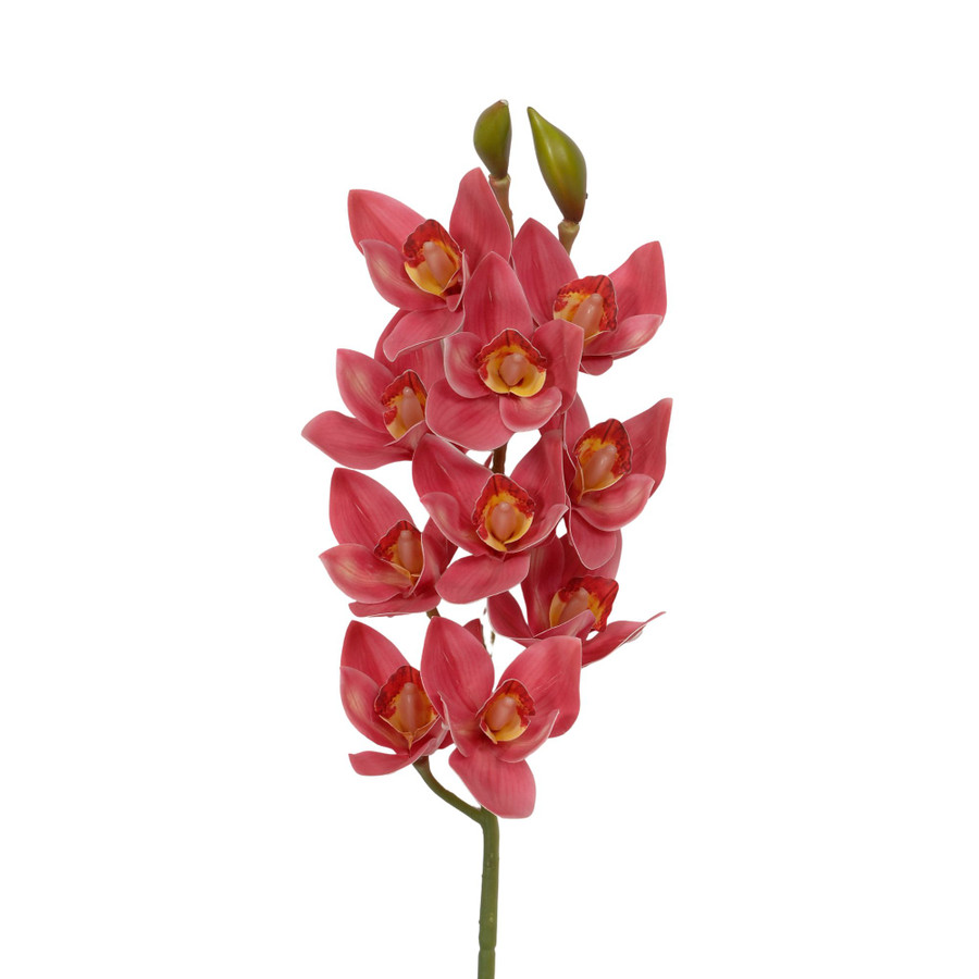 29in Cymbidium x10 - Hot Pink