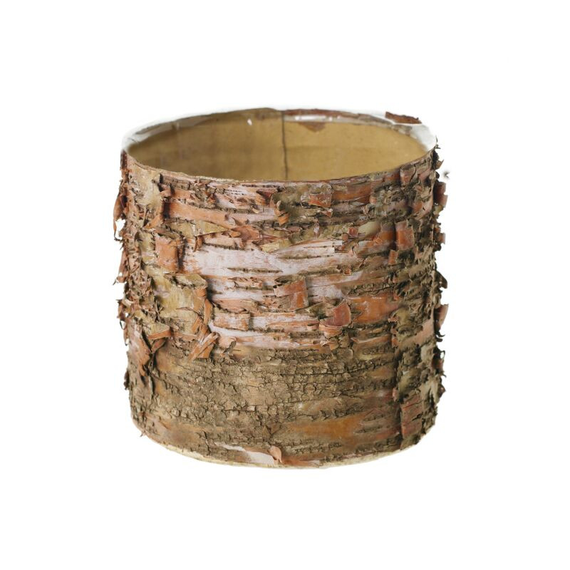 6in Wide Birch Cylinder Basket