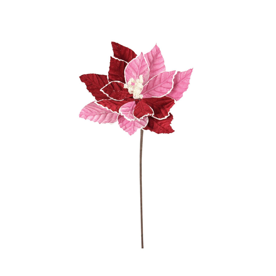 20in Long Poinsettia Spray - Red Pink White