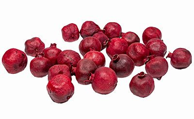 1.5-2in Dried Pomegranates (24pk)