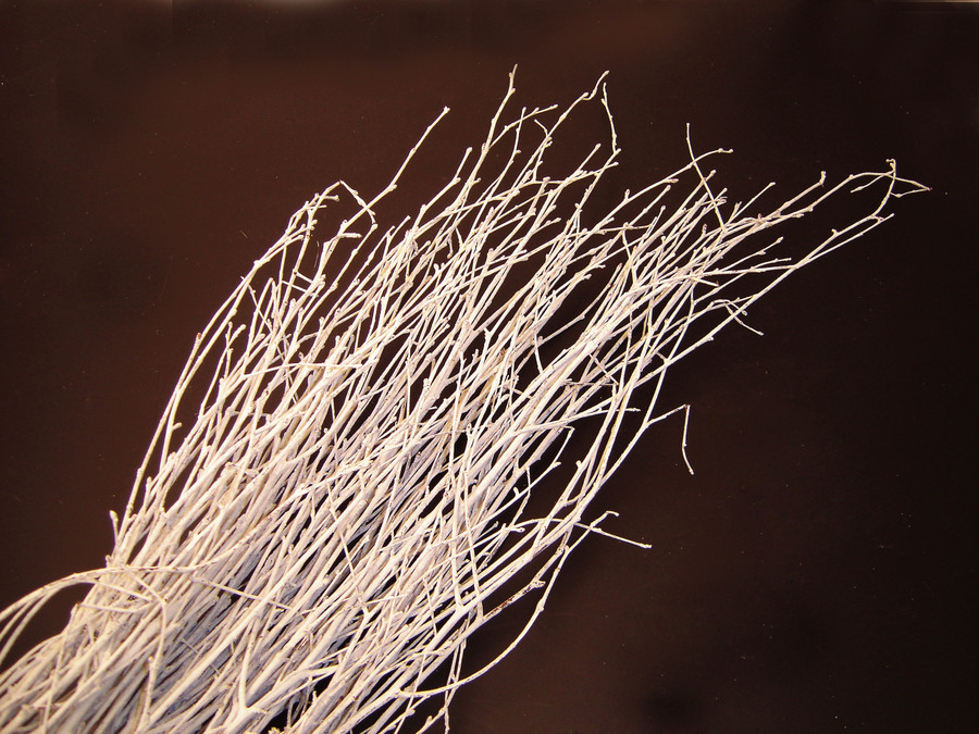 5-6ft White Painted Birch Branch