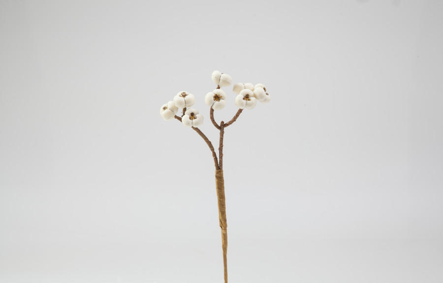 6in Tallow Berry Pick x8 - White (48pk)