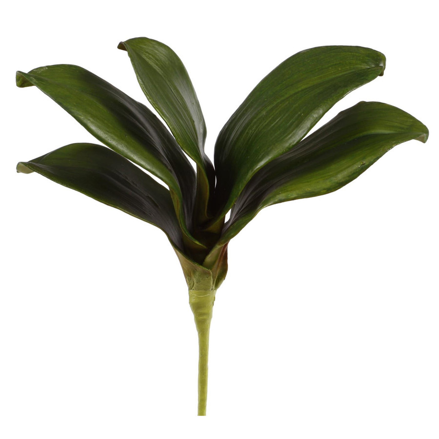 9in Phalaenopsis Orchid Leaf