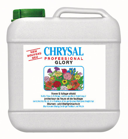1 Gallon Chrysal Glory