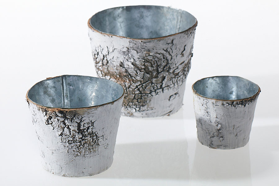 3.75in Wide Birch Tree Pot Cover Basket