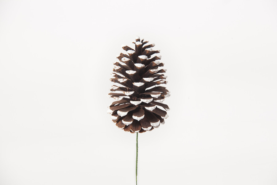 5in Pine Cone Pick - White Tip (36pk)