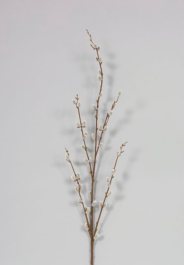 46in Pussy Willow Spray x5 - Grey