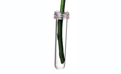 3in Clear Water Tubes (Box of 1000)