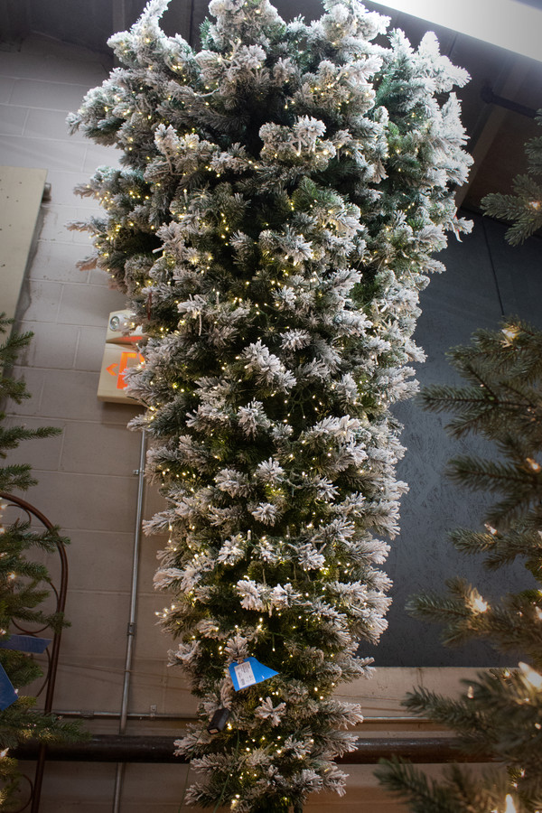 7ft Lit Upside-Down Majestic Flocked Christmas Tree, 1611 Tips