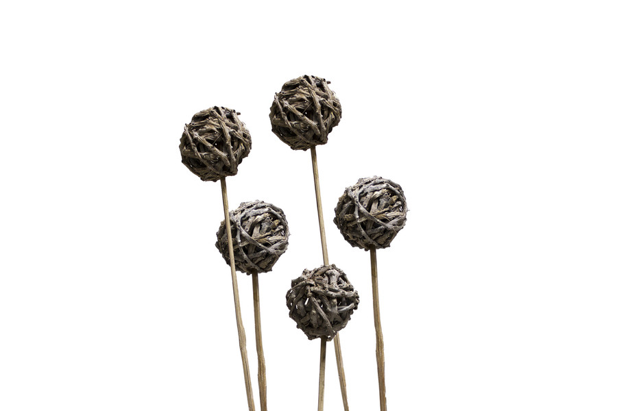 6cm Tail Ball on 18in Stem - Natural (5pk)