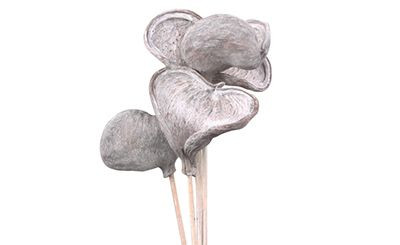 18in Dried Badam on 18in Stem - Natural (5pk)