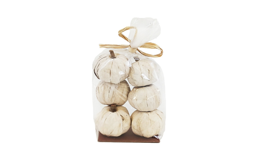 6cm Dried Pana Pumpkin - White (6pk)