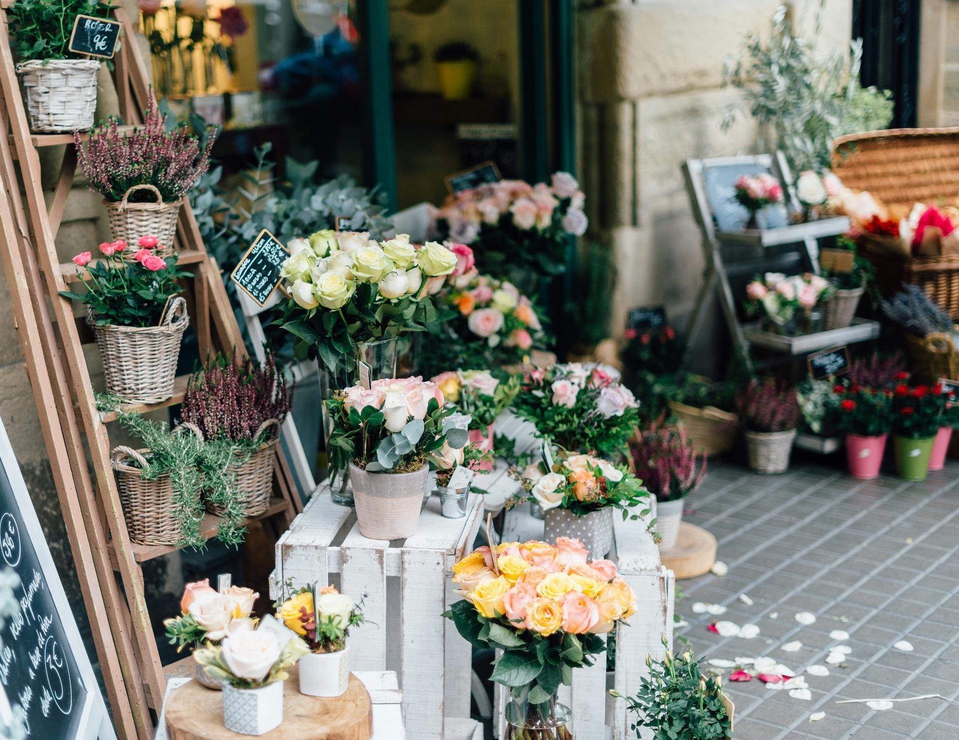 Jacobson Floral Supply Llc fleet