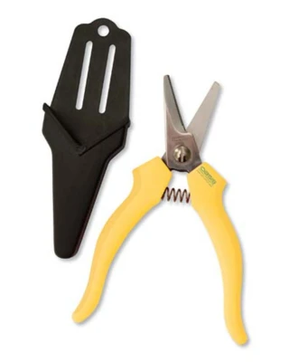 Tools & Equipment