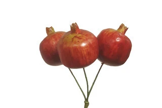 Fruits & Vegetables