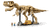 Dinosaur Fossils: Tyrannosaurus rex