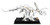 Dinosaur Fossils