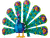 Exotic Peacock