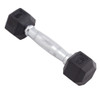 Body Sport Rubber Encased Hex Dumbbell