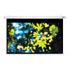 HamiltonBuhl 100" Diag. (53x85) Electric Projector Screen, 16:10 PC Format, Matte White Fabric