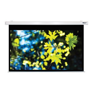 HamiltonBuhl 100" Diag. (53x85) Electric Projector Screen, 16:10 PC Format, Matte White Fabric