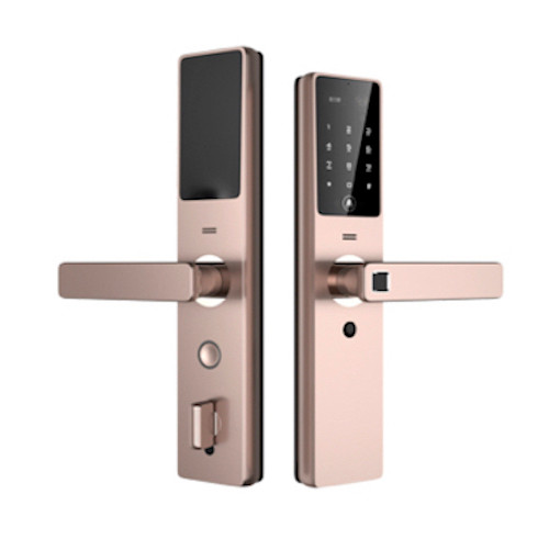 Smart Retina Doorlock