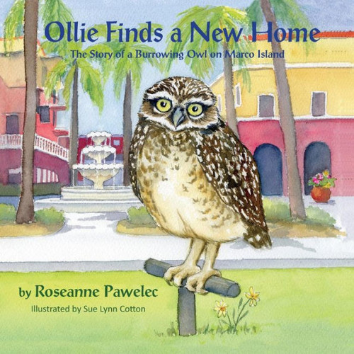 Ollie Finds a New Home, The Story of a Burrowing Owl on Marco Island