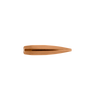 Single Berger 6mm, 95 grain, VLD Target bullet, product code 24427, depicted against a transparent background. This bullet is characterized by its sharp, pointed tip and tapered body, designed for minimal drag and maximum accuracy at long-range target shooting, representative of a 100-count box.