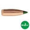 Sierra Bullets .22 Caliber 55 grain BlitzKing, model 1455, 100 count. Image shows a single copper bullet with a green polymer tip, isolated on a white background, with the 'BlitzKing' logo displayed in a green circle in the corner.