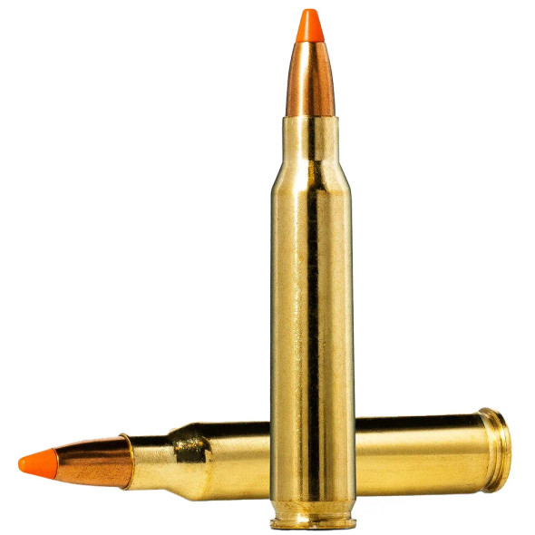 Two .223 Remington Norma Tipstrike-Varmint bullets with 55 grain weight, displayed side by side. These bullets feature polished brass casings and bright orange polymer tips, designed for enhanced accuracy and effective performance against varmints. The image highlights the precise engineering and aerodynamic shape of the bullets, ideal for hunting small game.